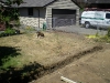build1_800